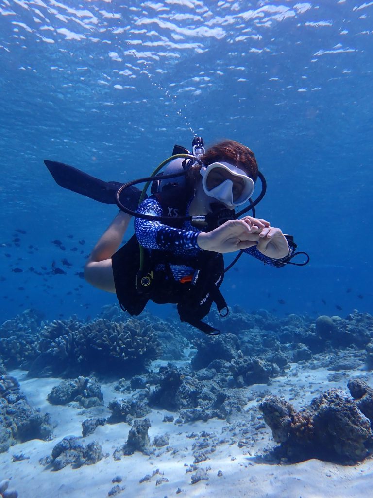 Visibilidad bunaken viajar bucear