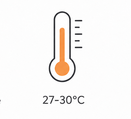 temperatura perhentian viajar bucear