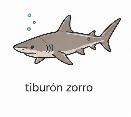 Tiburon zorro buceo Malapascua filipinas