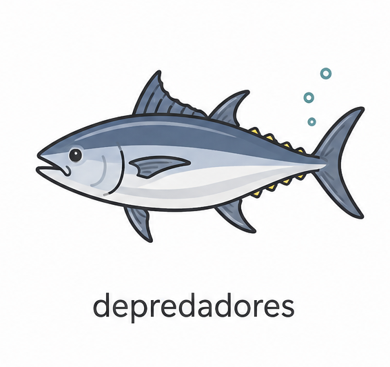 buceo sabang atun manta tiburones